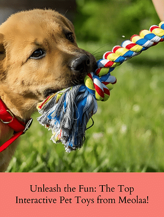 UNLEASH THE FUN: THE TOP INTERACTIVE PET TOYS FROM MEOLAA!